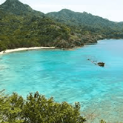 小笠原島